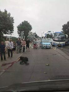 鸡东爆料真实事件最新,惊曝当地惊天大案,真相令人震惊! 第3张 鸡东爆料真实事件最新,惊曝当地惊天大案,真相令人震惊! 第3张