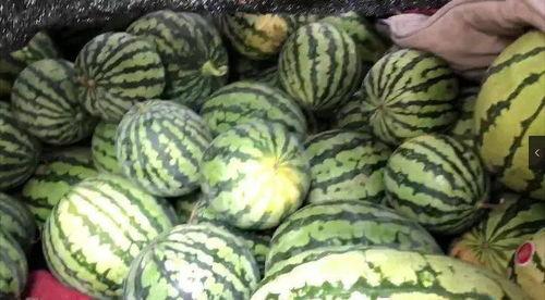 瓜哥免费吃瓜,揭秘娱乐圈幕后真相  第3张